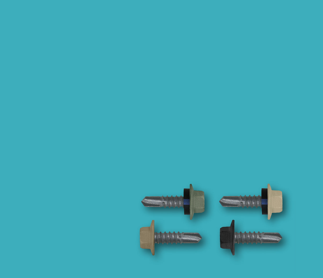 Colorbond Fasteners Common Colorbond® Painted Screws — NPX Fasteners
