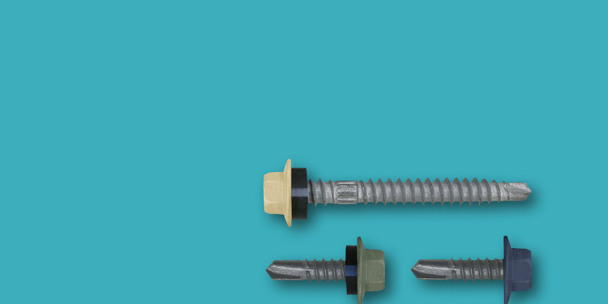 Colorbond Fasteners Common Colorbond® Painted Screws — NPX Fasteners