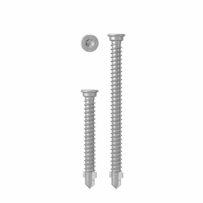 AnchorMark S2-Timber To Aluminium Decking Screw - 316 STAINLESS STEEL – Silver Finish