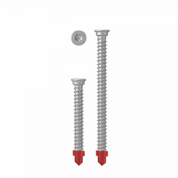 AnchorMark S2-Timber To Metal Decking Screw - 316 STAINLESS STEEL – Silver Finish