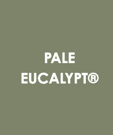 10-16 X 16mm Hex SD C4 GAL - PALE EUCALYPT